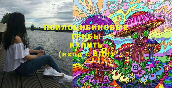 мет Аркадак