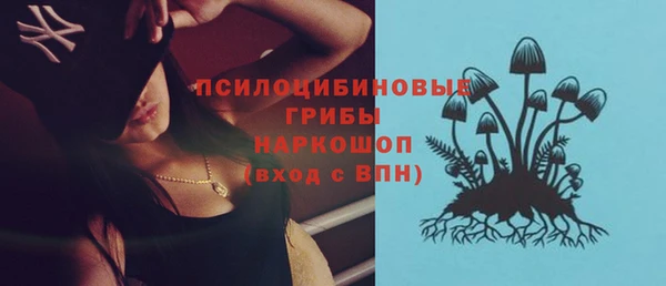 мет Аркадак