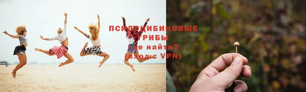 мет Аркадак