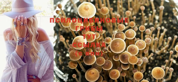 меф Арсеньев
