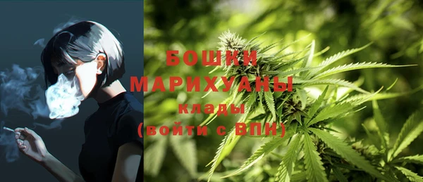 меф Арсеньев